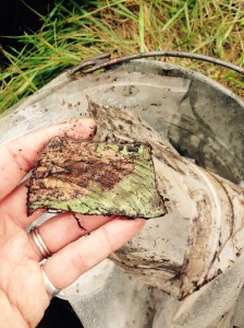 Coarse-earthenware that was very popular called Saintonge.