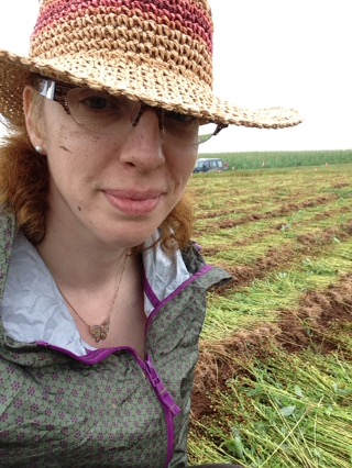 Flax Harvest